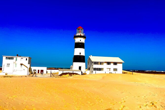 Kragga Kamma Game Drive and Scenic Coastal Tour in Port Elizabeth - Cape Recife lighthouse and the best view of the day