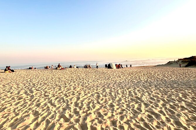 Kragga Kamma Game Drive and Scenic Coastal Tour in Port Elizabeth - Sardinia Bay Beach and the coastal change of pace