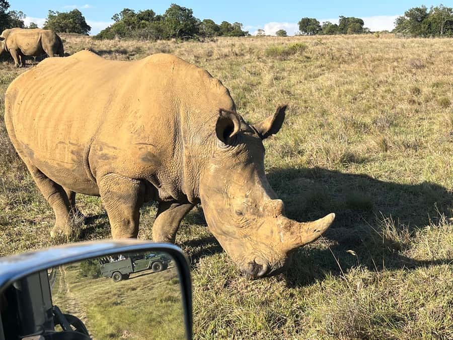 KRAGGA KAMMA GAME PARK - Snacks Are Included, But Plan Around Lunch