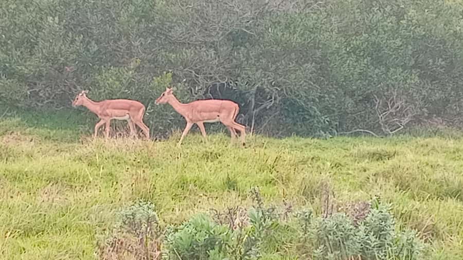 Kragga Kamma Game Park - Who Will Enjoy This Best