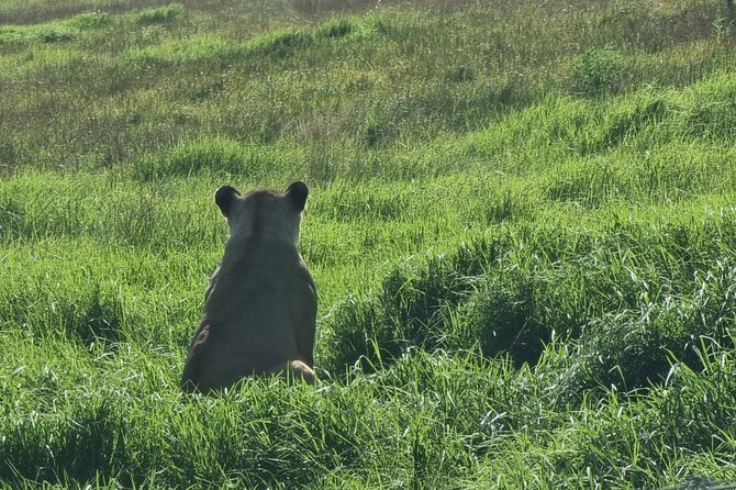 Kragga Kamma Game Park Safari Guided Tour in Port Elizabeth - What the guide adds to three hours
