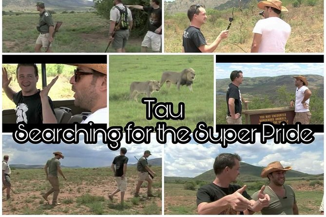 Kruger Lion Expedition with the Little Lionman Steve Kelly - Why Steven Kelly changes the feel of the safari