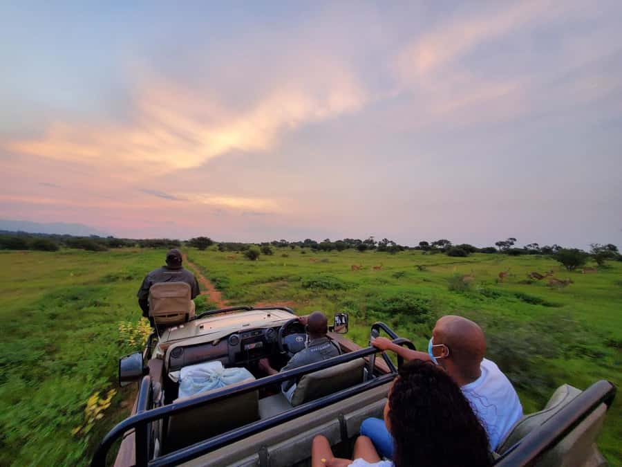 Kruger National Park: 3 Day Safari Tour - Why three days gives you a useful safari sample
