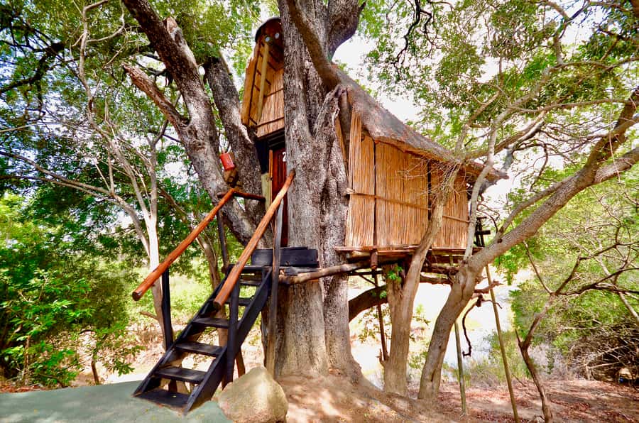 Kruger National Park: 3-Day Safari Tour and Treehouse Stay - What makes this three-day safari worth a closer look