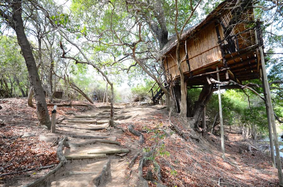 Kruger National Park: 3-Day Safari Tour and Treehouse Stay - The overall feel: busy, friendly, and focused on wildlife