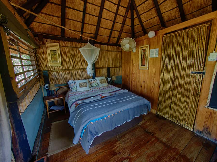 Kruger National Park: 3-Day Safari Tour and Treehouse Stay - Day three: a sunrise walk and the Panorama Route