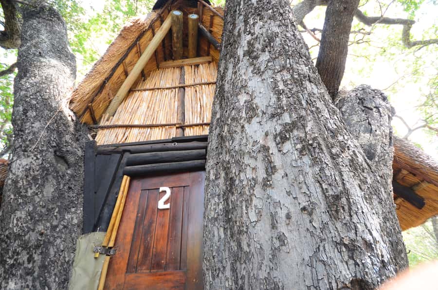 Kruger National Park: 3-Day Safari Tour and Treehouse Stay - The final call: book for the safari, not the treehouse
