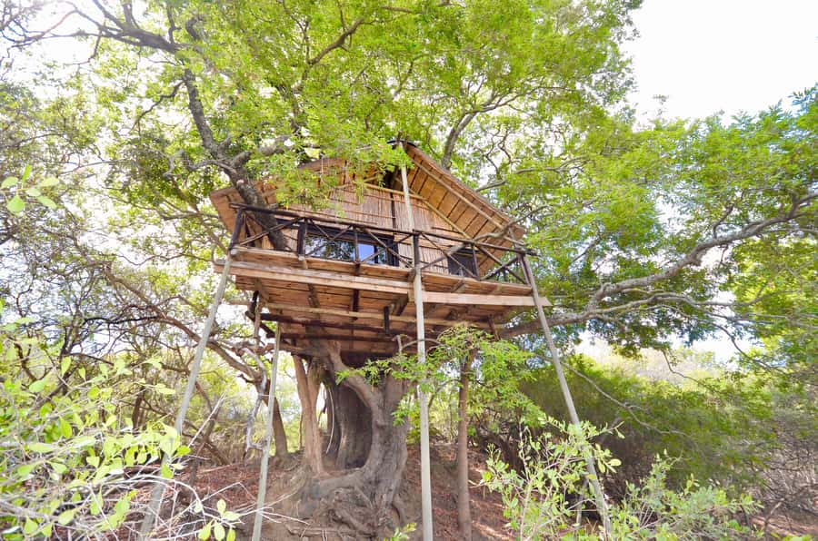Kruger National Park: 3-Day Safari Tour and Treehouse Stay - Day one: Johannesburg to Balule and a sunset among the animals