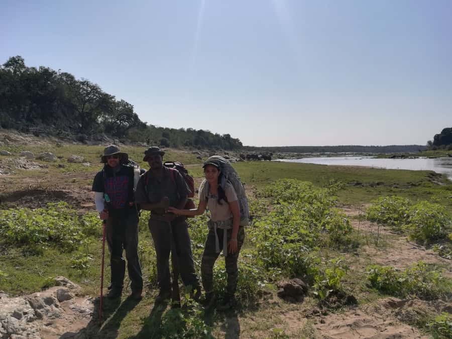 Kruger National Park: 3-Hour Walking Safari - Leaving the vehicle behind in Kruger
