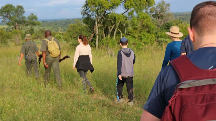 Kruger National Park: 3-Hour Walking Safari - What the three-hour walk feels like