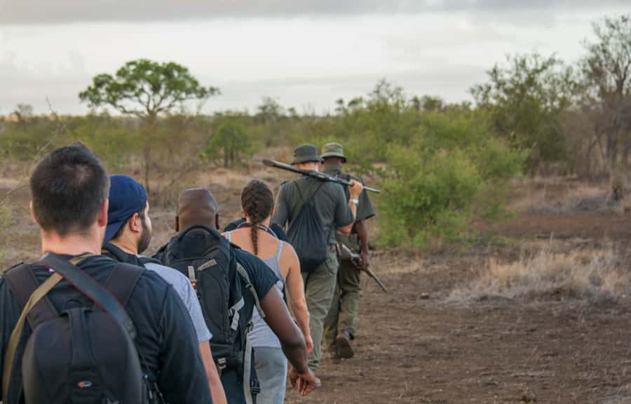 Kruger National Park: 3-Hour Walking Safari - How the $138 price measures up