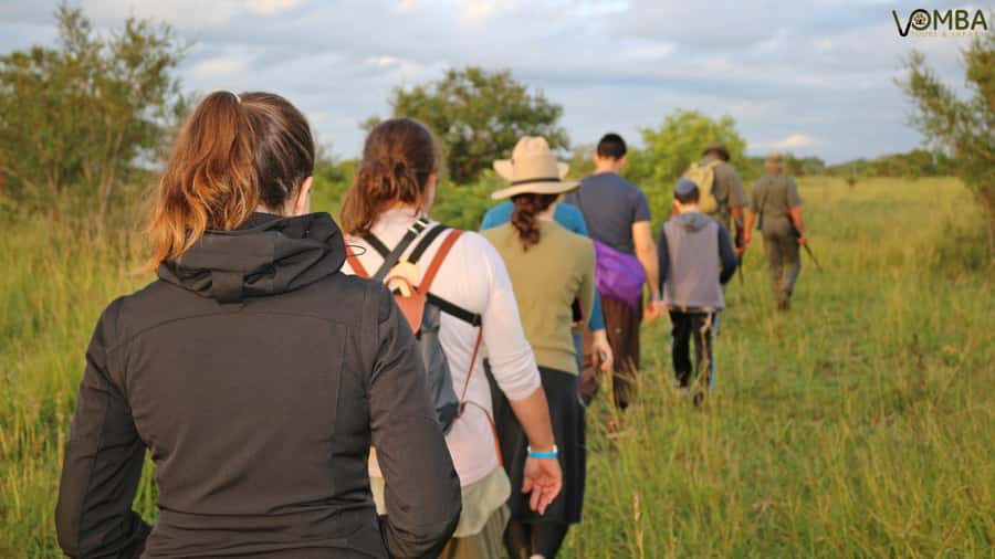 Kruger National Park: 3-Hour Walking Safari - Who should book this walking safari?