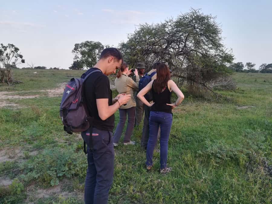 Kruger National Park: 3-Hour Walking Safari - Booking details worth checking first