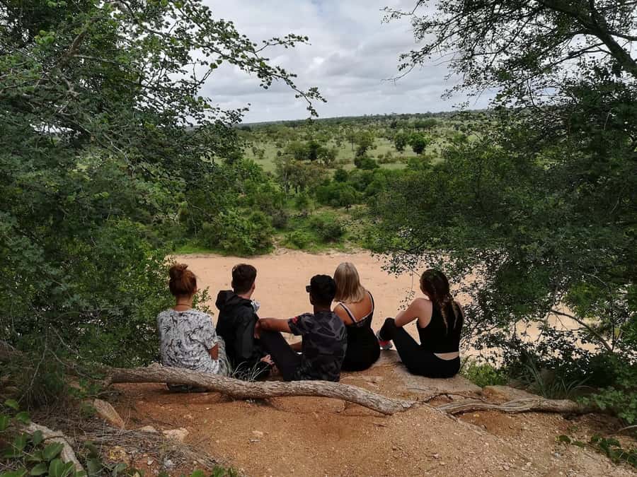 Kruger National Park - 4 Day Safari Tour - Day 1: Johannesburg to Hoedspruit and a sunset drive