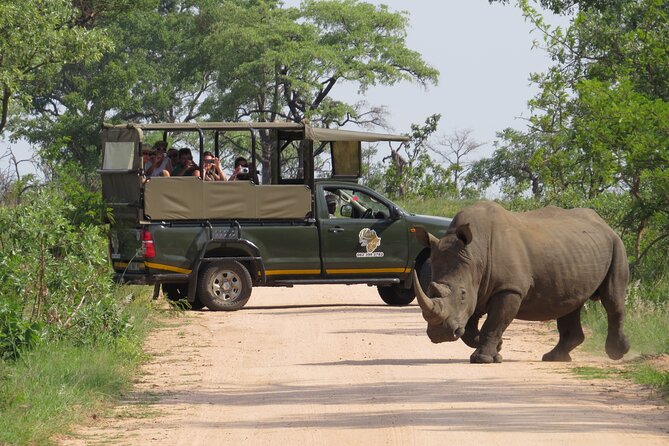 Kruger National Park Afternoon Private safari - Key points at a glance