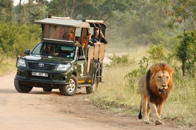 Kruger National Park Afternoon Private safari - Why this afternoon safari works from Hazyview