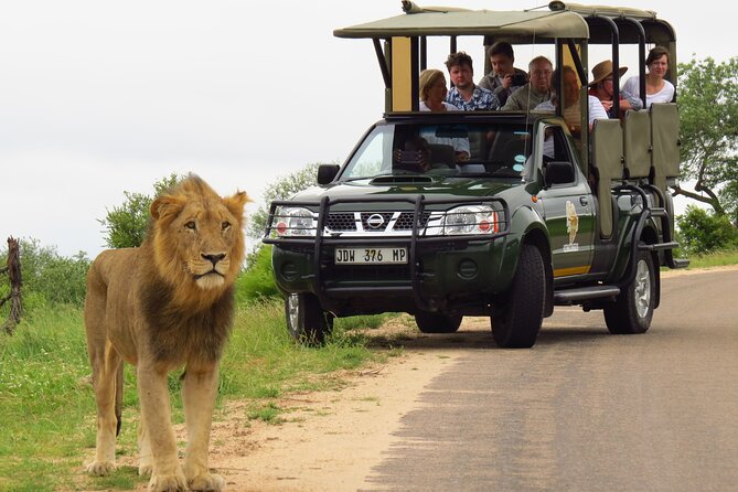 Kruger National Park Afternoon Private safari - What the five-hour route may feel like
