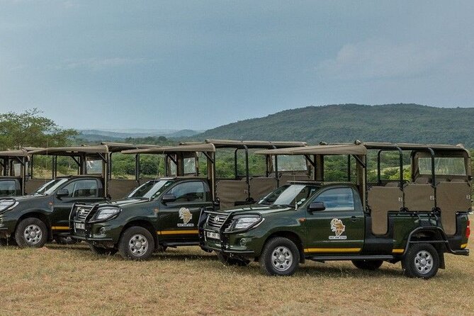 Kruger National Park Afternoon Private safari - What to bring and what the tour does not provide