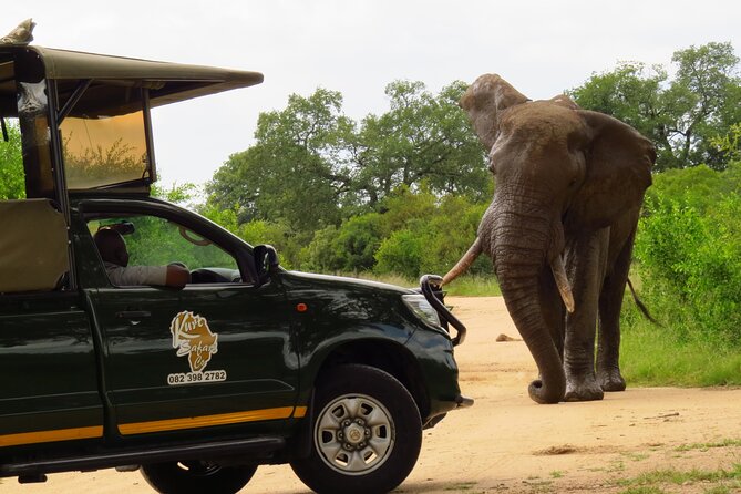 Kruger National Park Afternoon Private safari - Who will enjoy this private Kruger outing