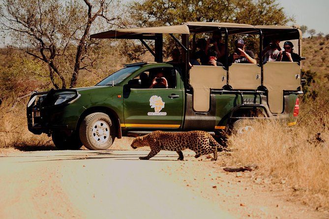 Kruger National Park Full Day Private safari - Entering Kruger with a guide who knows where to look