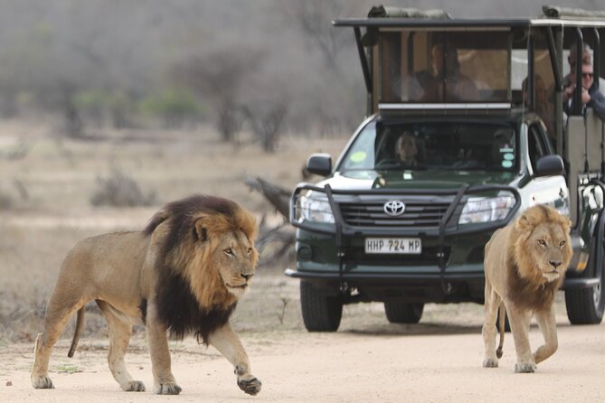 Kruger National Park Full Day Private safari - What the $158.16 price really buys
