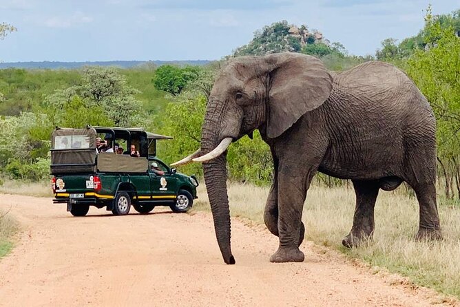 Kruger National Park Full Day Private safari - Timing, comfort, and practical planning