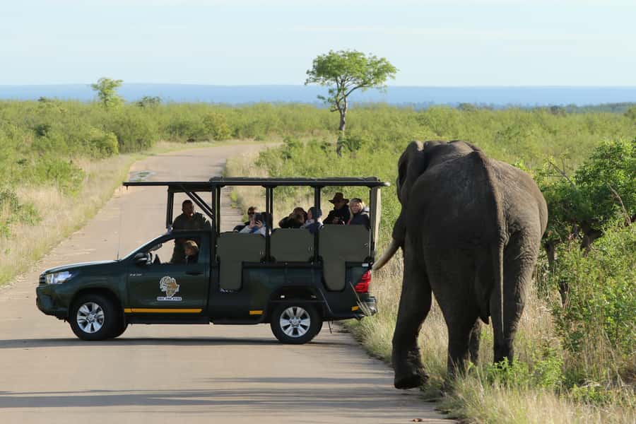 Kruger National Park: Full-Day Private Safari With Pickup - The open vehicle changes the feel of the safari