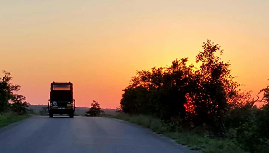 Kruger National Park: Full-Day Private Safari With Pickup - Pickup from Hazyview or the park gates