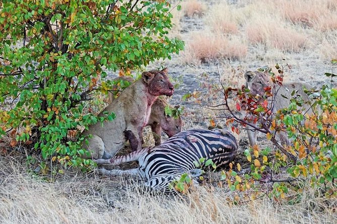 Kruger National Park Full Day Tour Minimum 2people - Communication and Booking Details