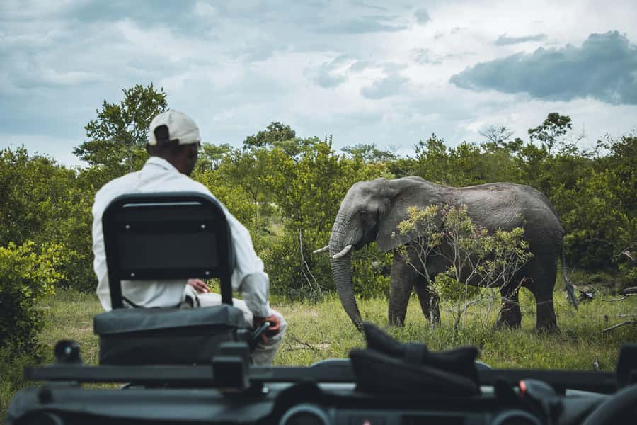 Kruger National Park half day - Five and a half hours of searching for wildlife