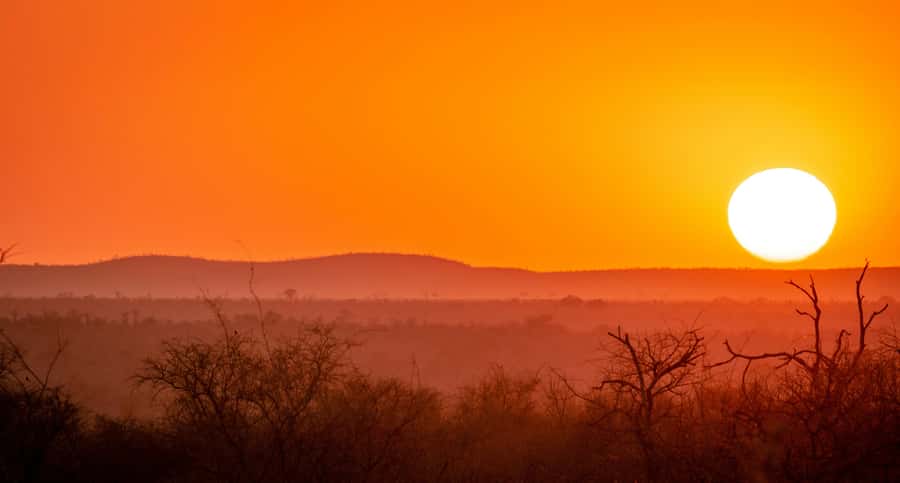 Kruger National Park half day - Breakfast and rest stops cost extra