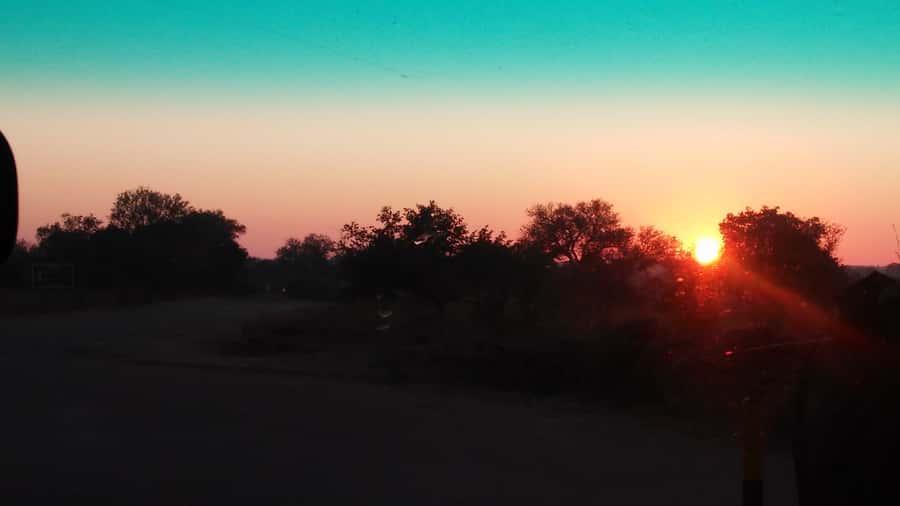 Kruger National Park Morning Safari - What $93 includes, and what it does not