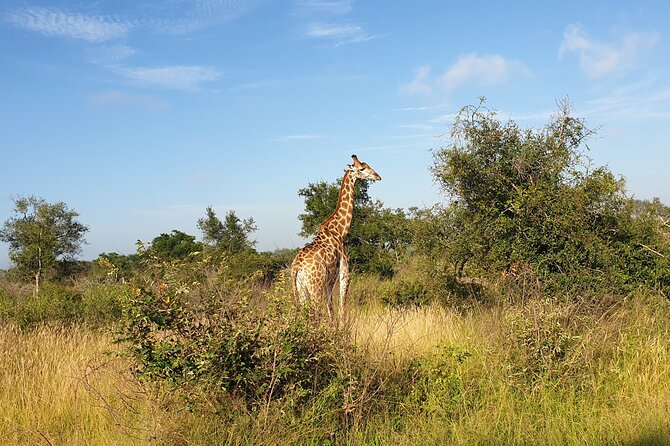 Kruger National Park & Panorama Route From Johannesburg 3 Days & 2 Nights - Day three: the Panorama Route delivers the scenery