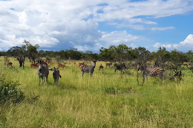 Kruger National Park & Panorama Route From Johannesburg 3 Days & 2 Nights - What the $1,200 price includes
