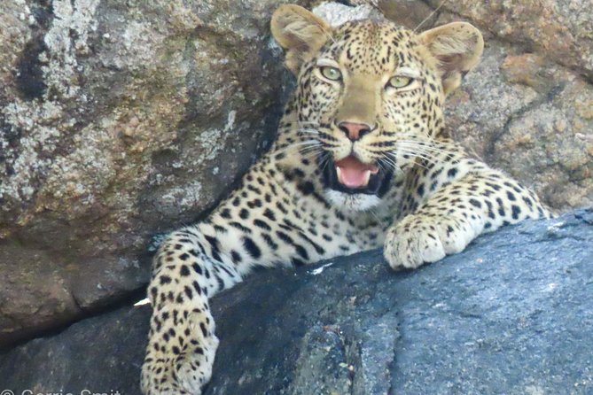 Kruger National Park - Private 3 day, 2 night safari trip. - The arrival sunset drive
