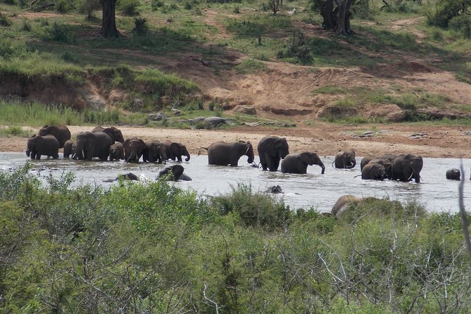 Kruger National Park - Private 3 day, 2 night safari trip. - Optional walking safari with SANParks
