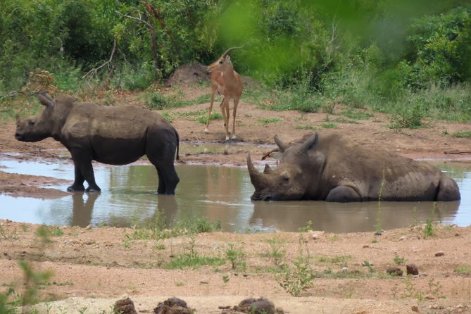Kruger National Park - Private 3 day, 2 night safari trip. - The chalet and what is actually included