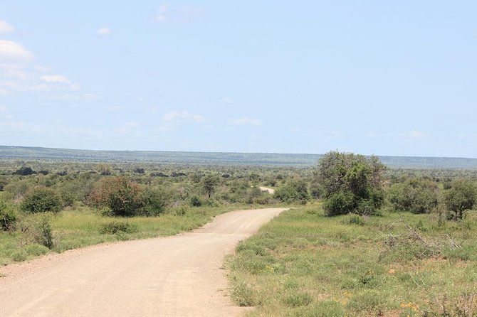 Kruger National Park Private Full-Day Safari - Private Safari Vehicle & Guide - Key points before you book