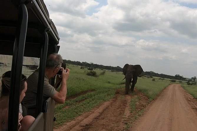 Kruger National Park Private Full-Day Safari - Private Safari Vehicle & Guide - Morning, midday, and late afternoon on the route