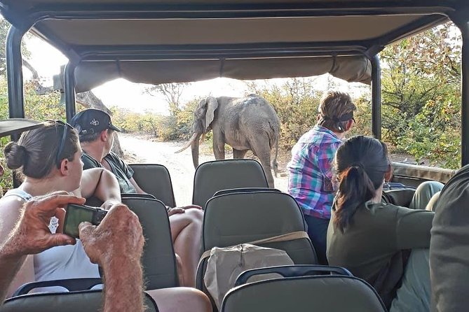 Kruger National Park Private Full-Day Safari - Private Safari Vehicle & Guide - Private safari value at $571.12 per group