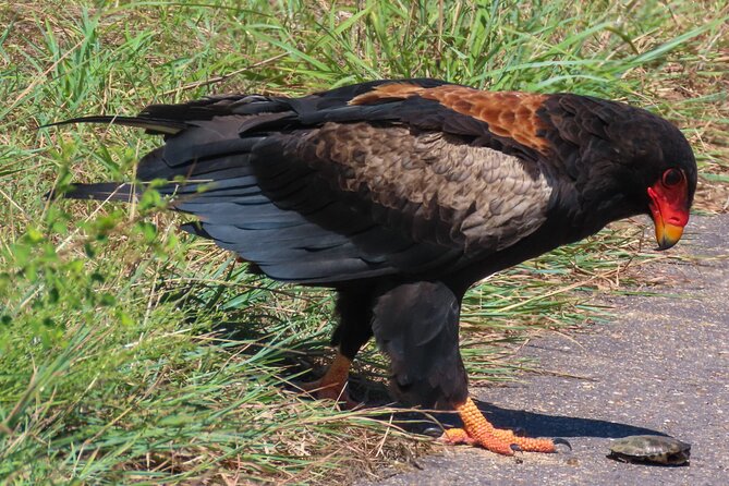 Kruger National Park - Private full day Safari trip. - Comfort details that help on a long day