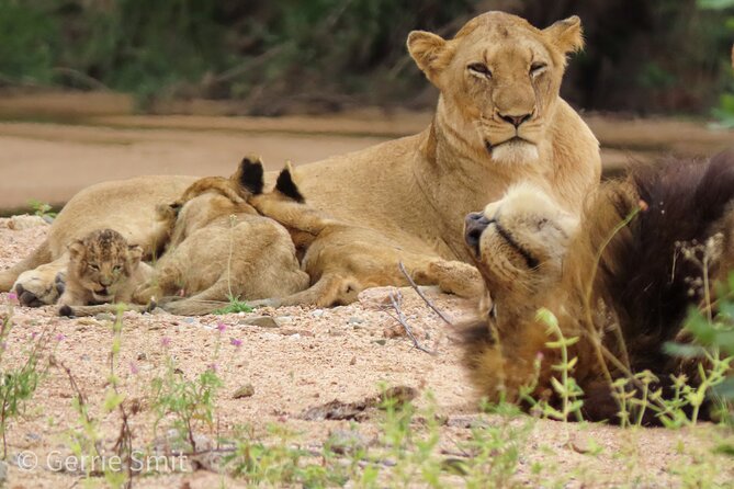 Kruger National Park - Private full day Safari trip. - What makes Gerrie and Keegan so important