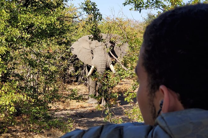 Kruger National Park Private Guided Tour - Price: $510.69 for a group of up to nine