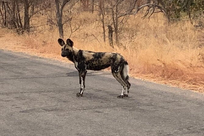 Kruger National Park Private Guided Tour - Age, passports, and weather preparation