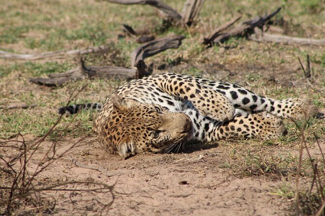 Kruger National Park, Safari Game Drive. - Practical questions to settle before departure