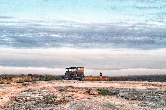 Kruger National Park Sunrise Half-Day Safari Tour - What the $187.94 price really buys