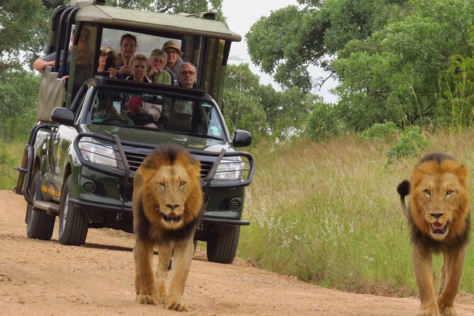Kruger National Park sunrise Morning Private safari - Why The 5:30 a.m. Start Matters