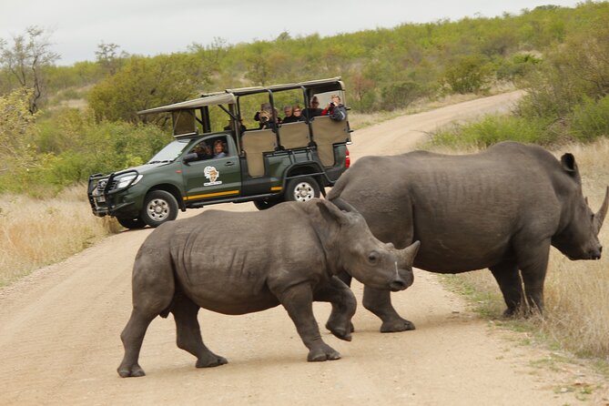Kruger National Park sunrise Morning Private safari - Guide Quality: Abraham N, Patrick, And Kurt