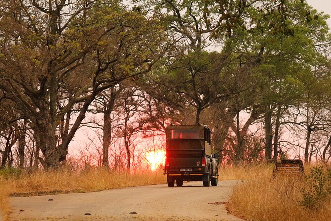 Kruger National Park sunrise Morning Private safari - Who Will Enjoy This Safari Most