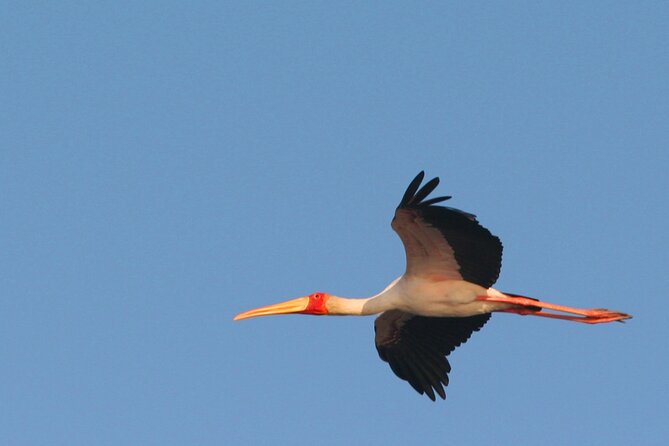 Kruger Park - Full day - Private safari vehicle - Wildlife sightings: exciting, but never guaranteed